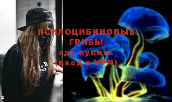ПСИЛОЦИБИНОВЫЕ ГРИБЫ Аркадак