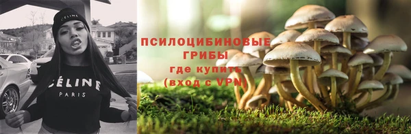 ПСИЛОЦИБИНОВЫЕ ГРИБЫ Аркадак
