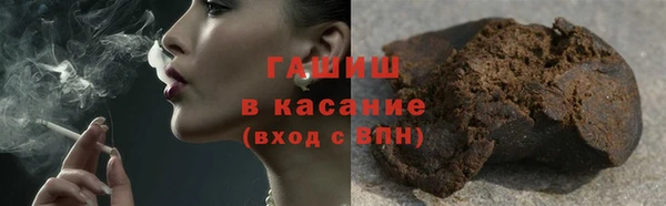 гидра Арсеньев