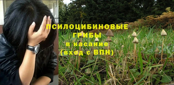 ПСИЛОЦИБИНОВЫЕ ГРИБЫ Аркадак