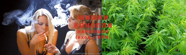 гидра Армянск