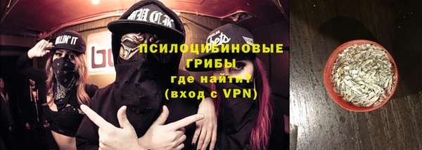 ПСИЛОЦИБИНОВЫЕ ГРИБЫ Аркадак